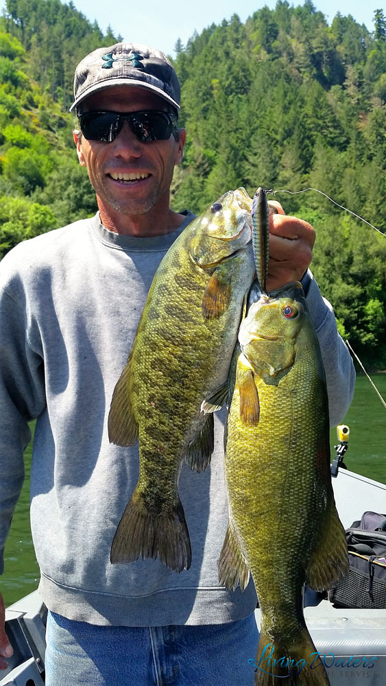 Smallmouth Bass - Living Waters Guide Service
